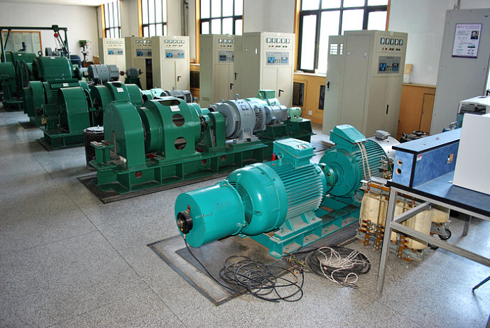 Y7106-8某热电厂使用我厂的YKK高压电机提供动力