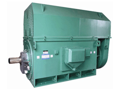 Y7106-8Y系列6KV高压电机